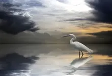 clouds seagulls 1920x1080 wallpaper Art HD Wallpaper